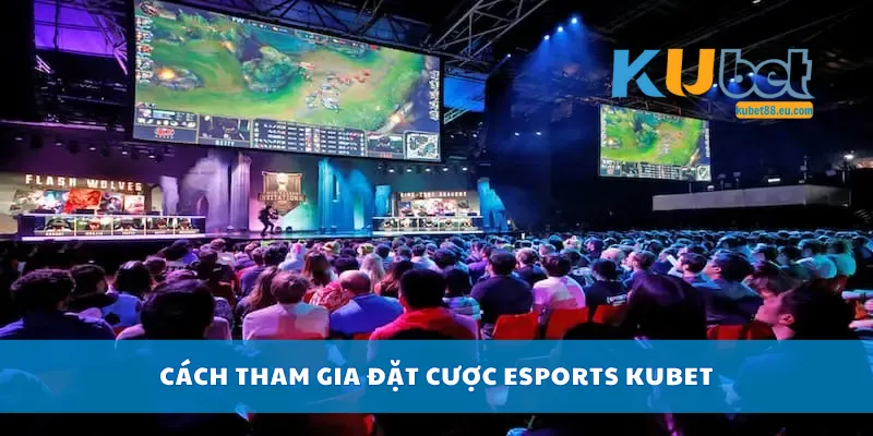 Cách tham gia đặt cược Esports Kubet